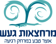 לוגו מרחצאות געש – לקוח של בש"י